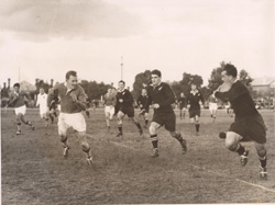 1951 game against the All Blacks