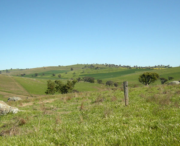 Kellsdale Fencepost